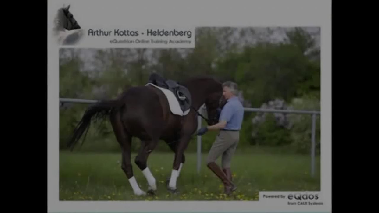 Collection: Half Pass and Weight Carrying | Arthur Kottas-Heldenberg | PART 01