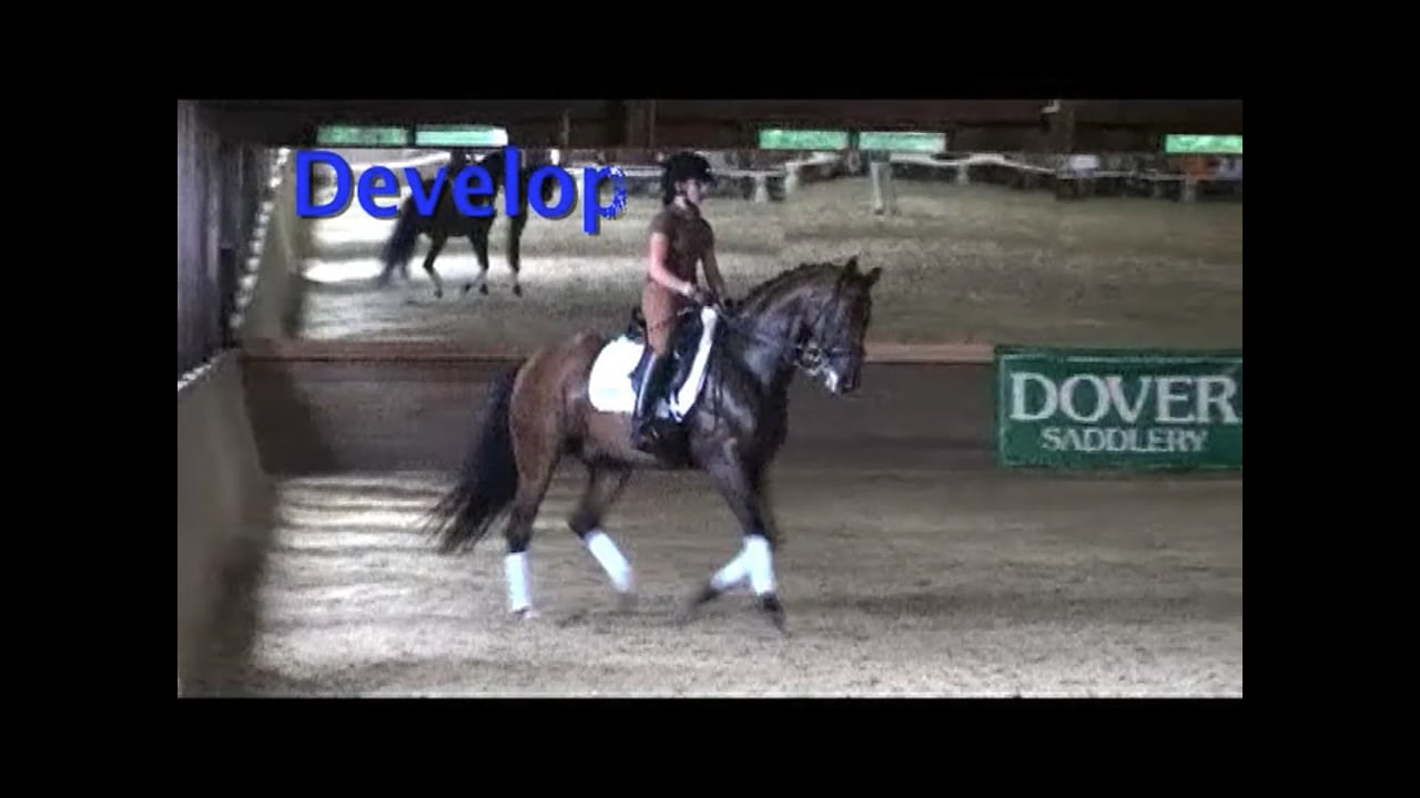 Developing Nations Dressage Symposium: 3rd/M Level | Axel Steiner | PART 03