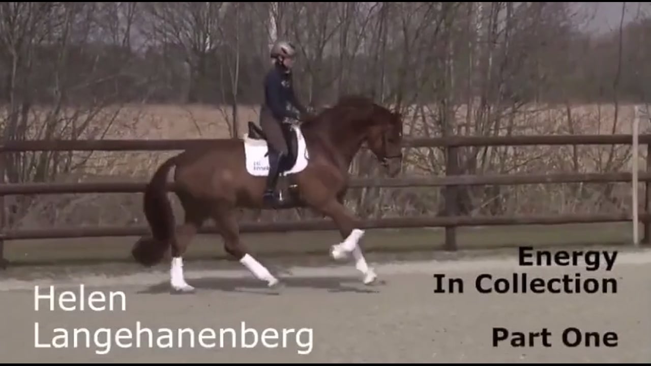 Energy in Collection | Helen Langehanenberg | INTRO