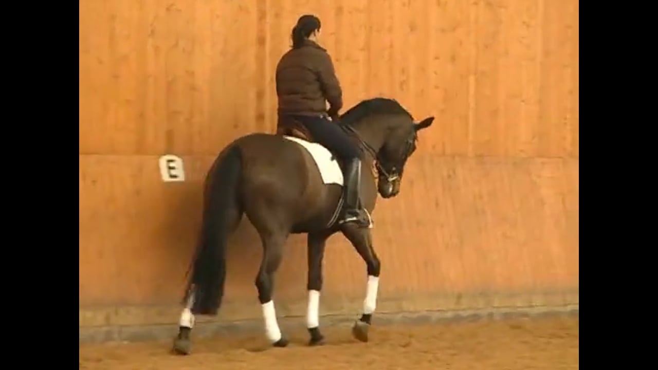 Discussion of Position and Use of the Seat | Catherine Haddad | PART 02