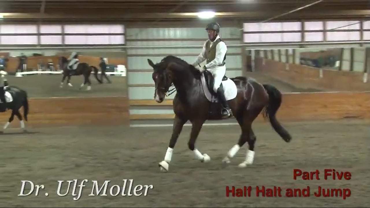 First Level Canter, Half Halt & Jump | Dr. Ulf Moller | PART 05