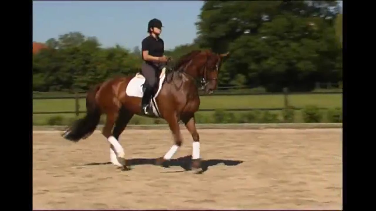 Engagement | Catherine Haddad | PART 03