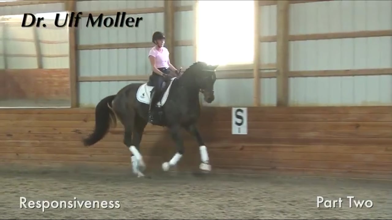 Responsiveness | Dr. Ulf Moller | PART 02