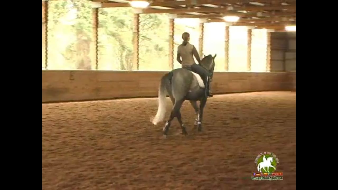 Discussion on conformation