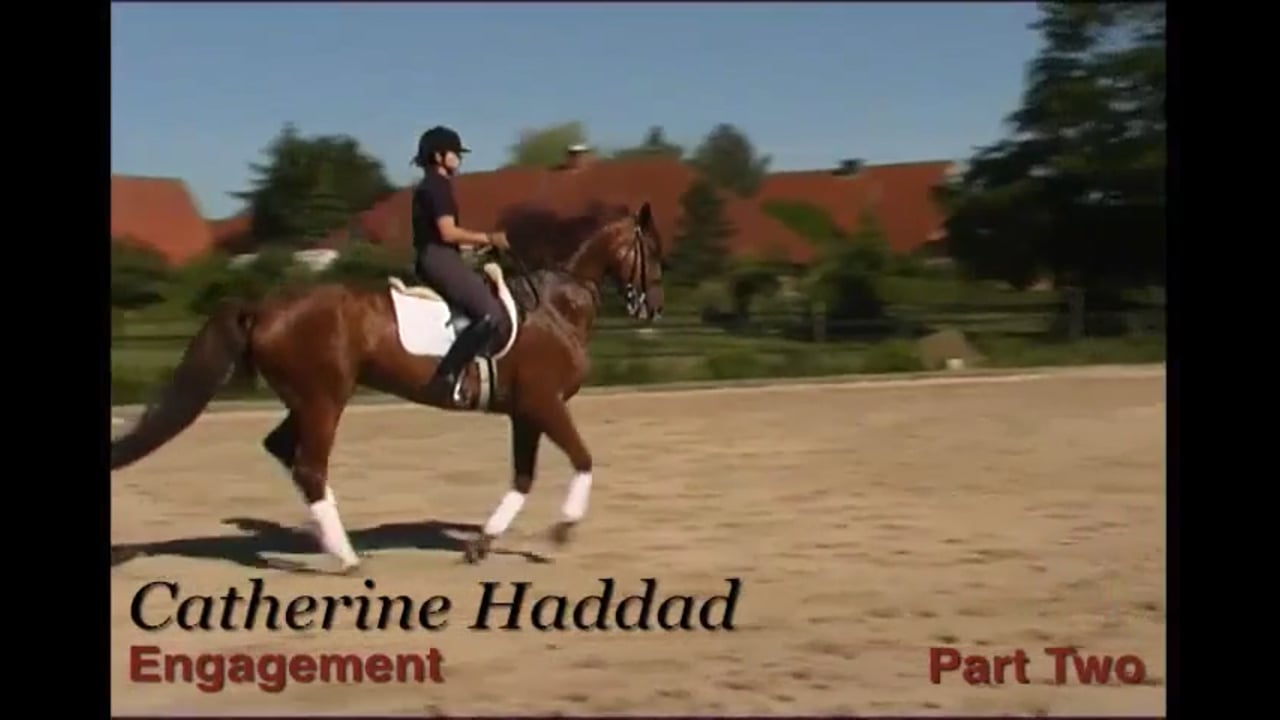 Engagement | Catherine Haddad | PART 02