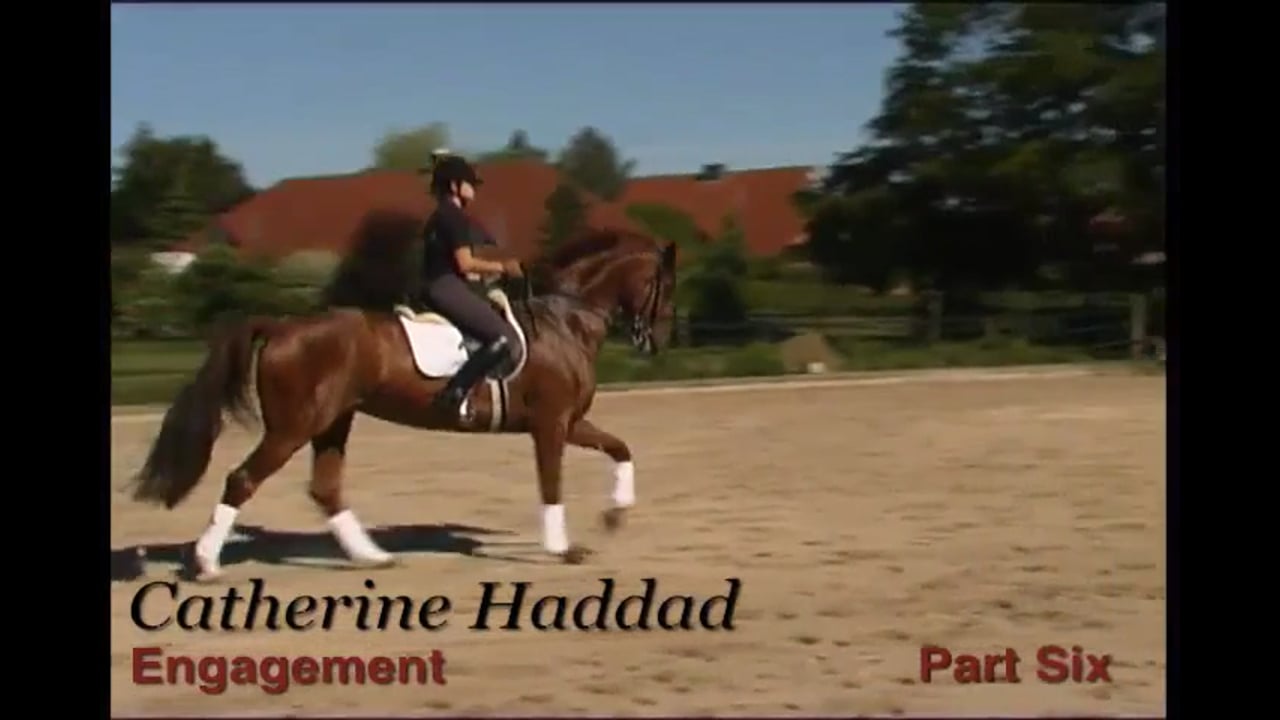 Engagement | Catherine Haddad | PART 06