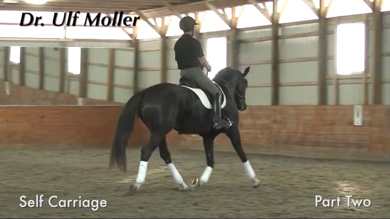 Self Carriage | Dr. Ulf Moller | PART 02