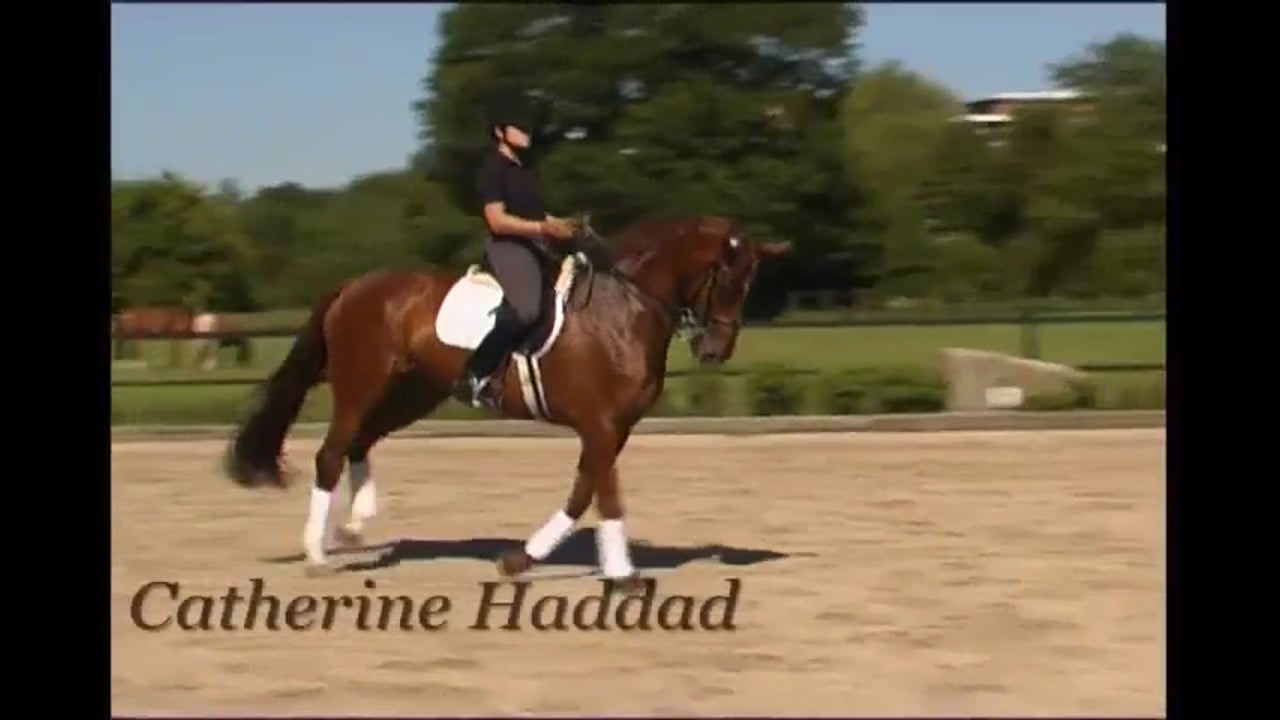 Engagement | Catherine Haddad | PART 04