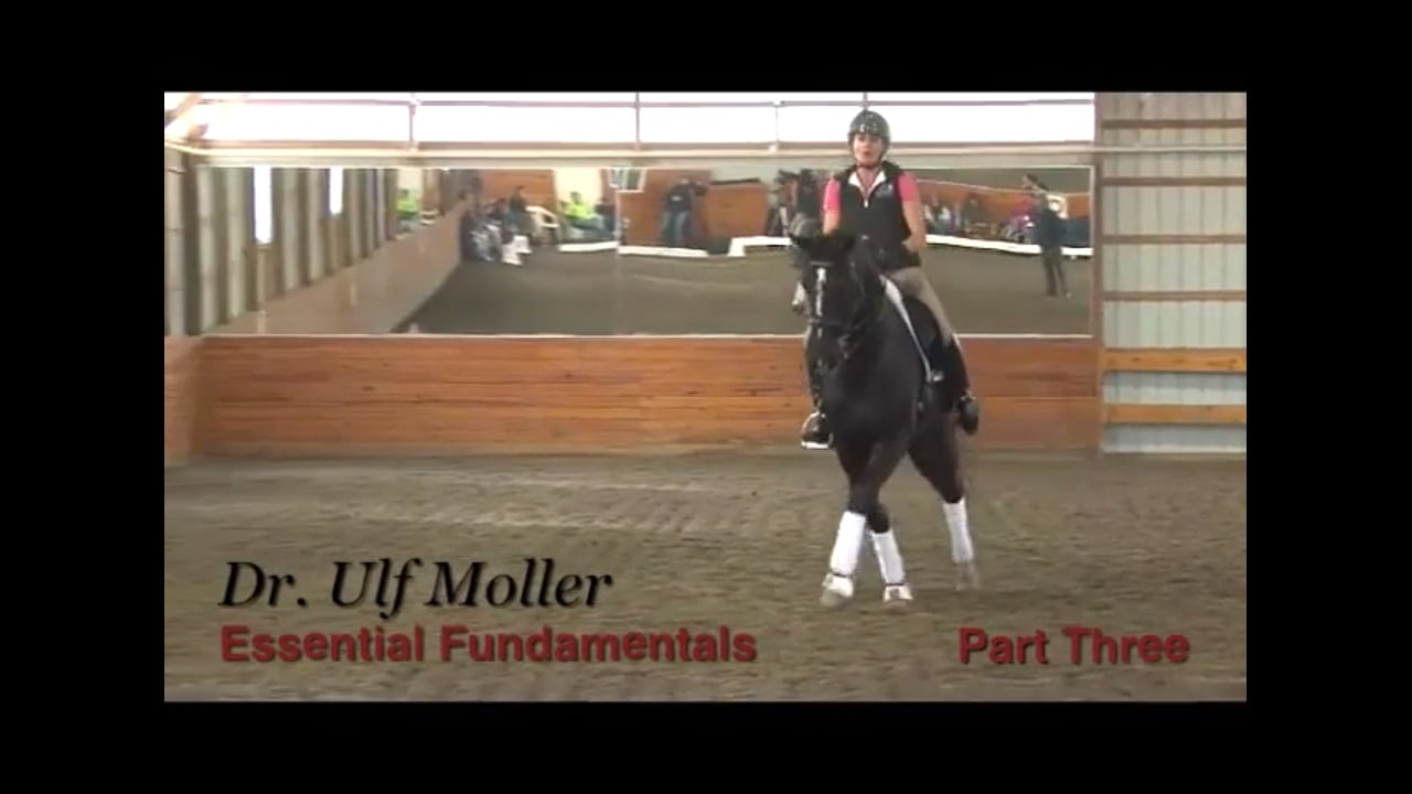 Essential Fundamentals at PSG Level | Dr. Ulf Moller | PART 03