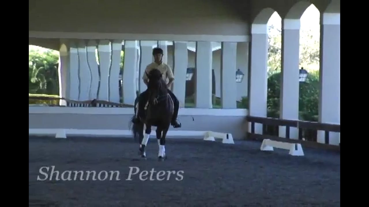 Exercises for Elasticity | Shannon Peters | PART 03