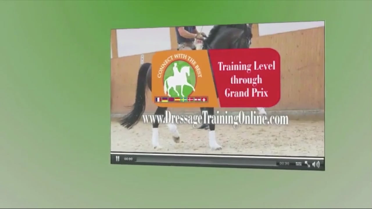 Even In Both Reins | Debbie McDonald