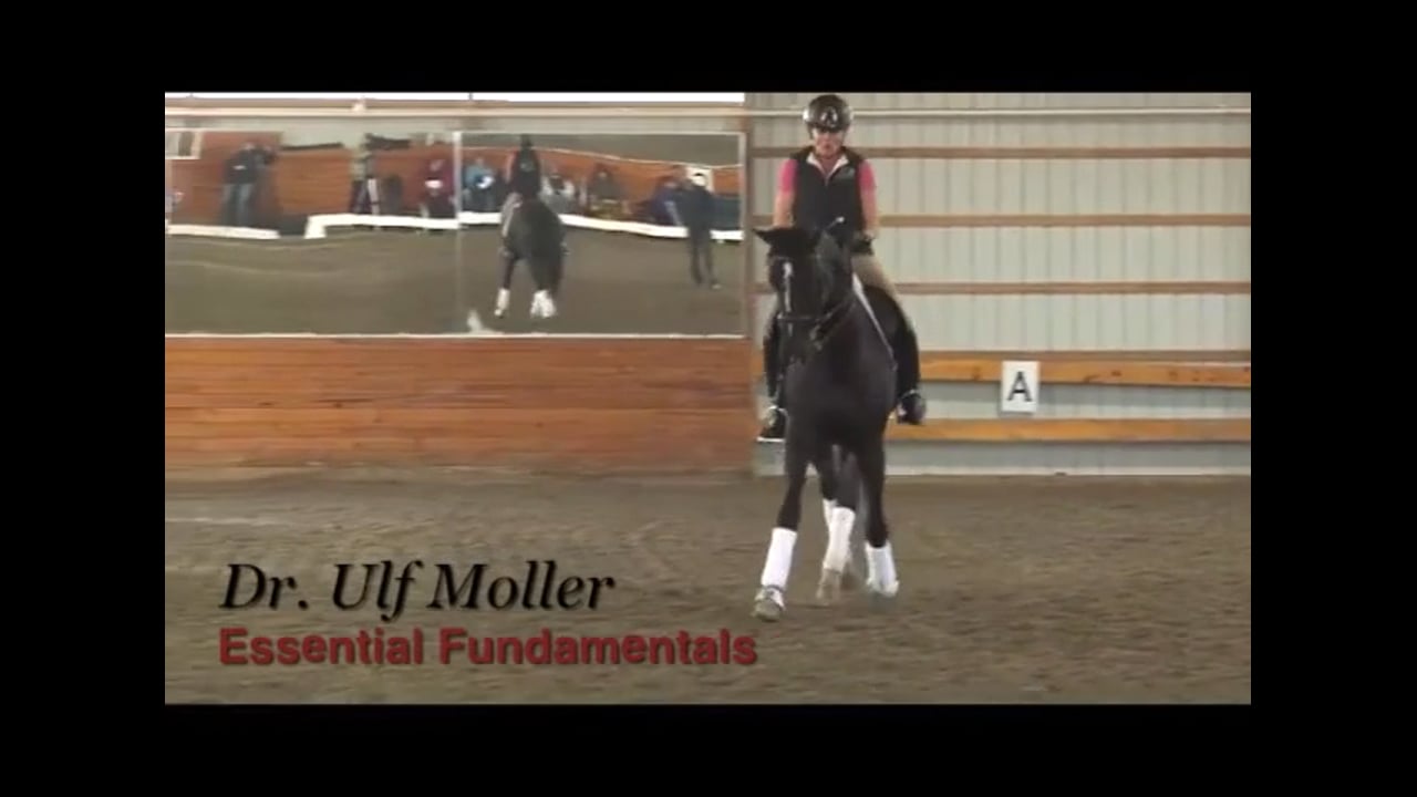 Essential Fundamentals at PSG Level | Dr. Ulf Moller | PART 02
