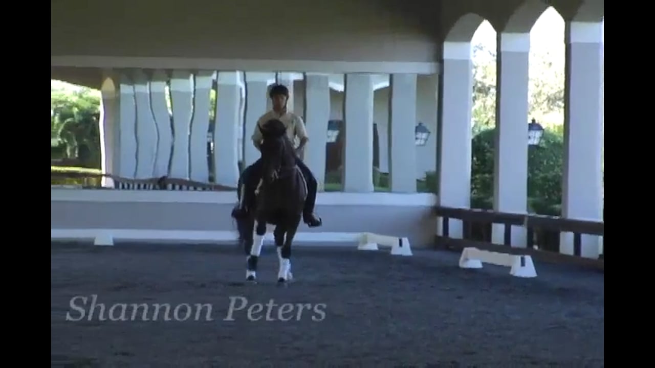 Exercises for Elasticity | Shannon Peters | PART 02