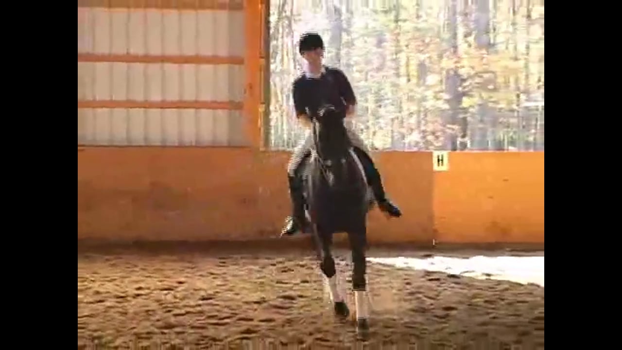 ESDCTA Forum, 2007, 3rd/Third Level/M | Janet Foy & Steffen Peters | PART 02