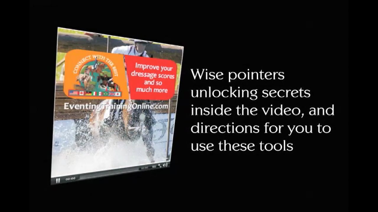 Exercises for Elasticity | Shannon Peters | PART 01