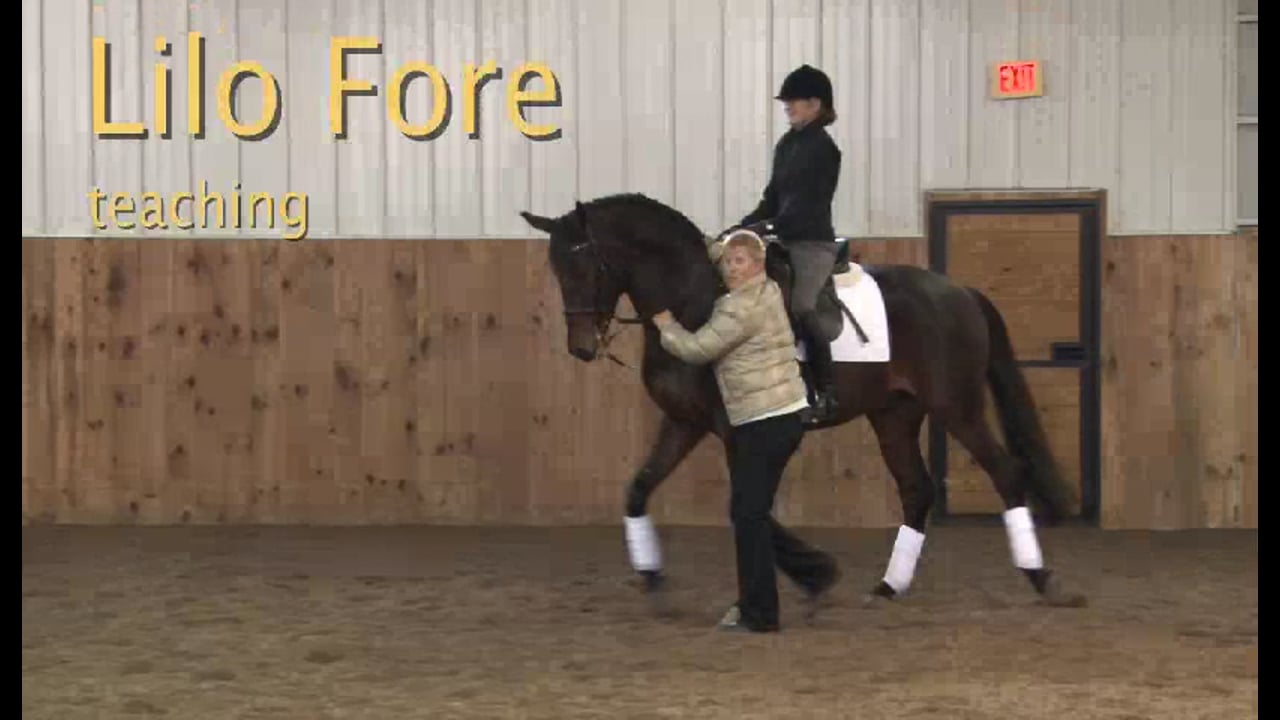 FarmVet/USDF Adult: Contact with Experienced Horse, Day 2 | Lilo Fore | PART 05