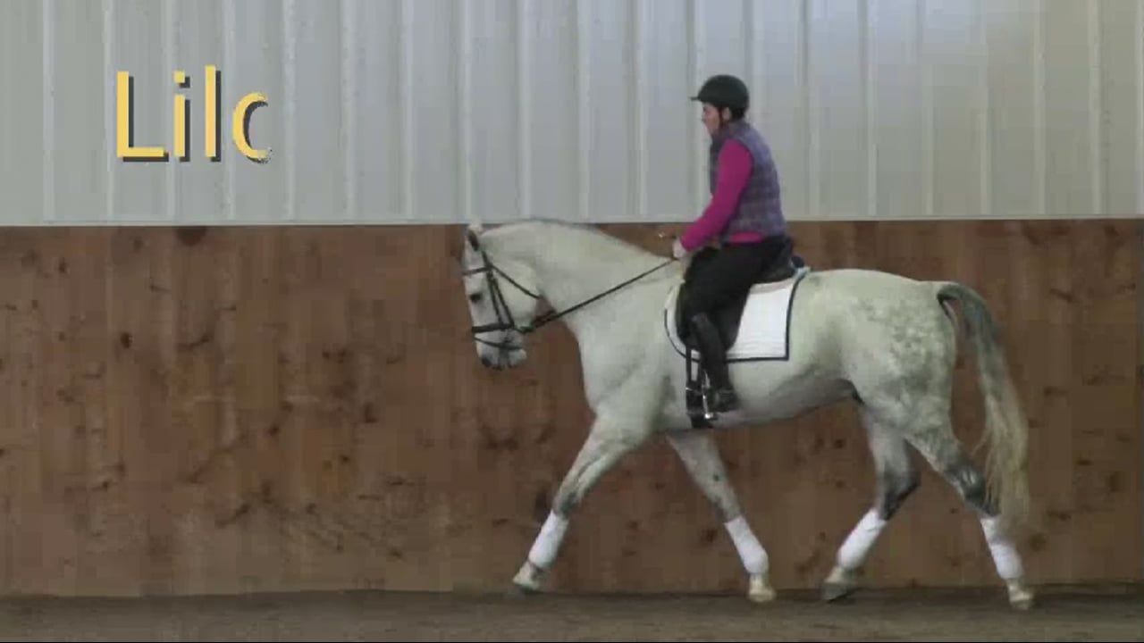 FarmVet/USDF Complete Adult Clinic, featuring Lilo Fore, Creating Better Contact
