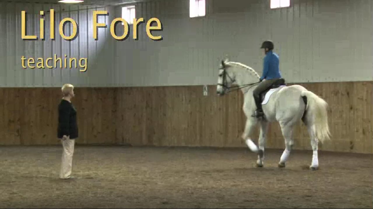 FarmVet/USDF Adult: Contact, Experienced, Strong Horse | Lilo Fore | PART 11