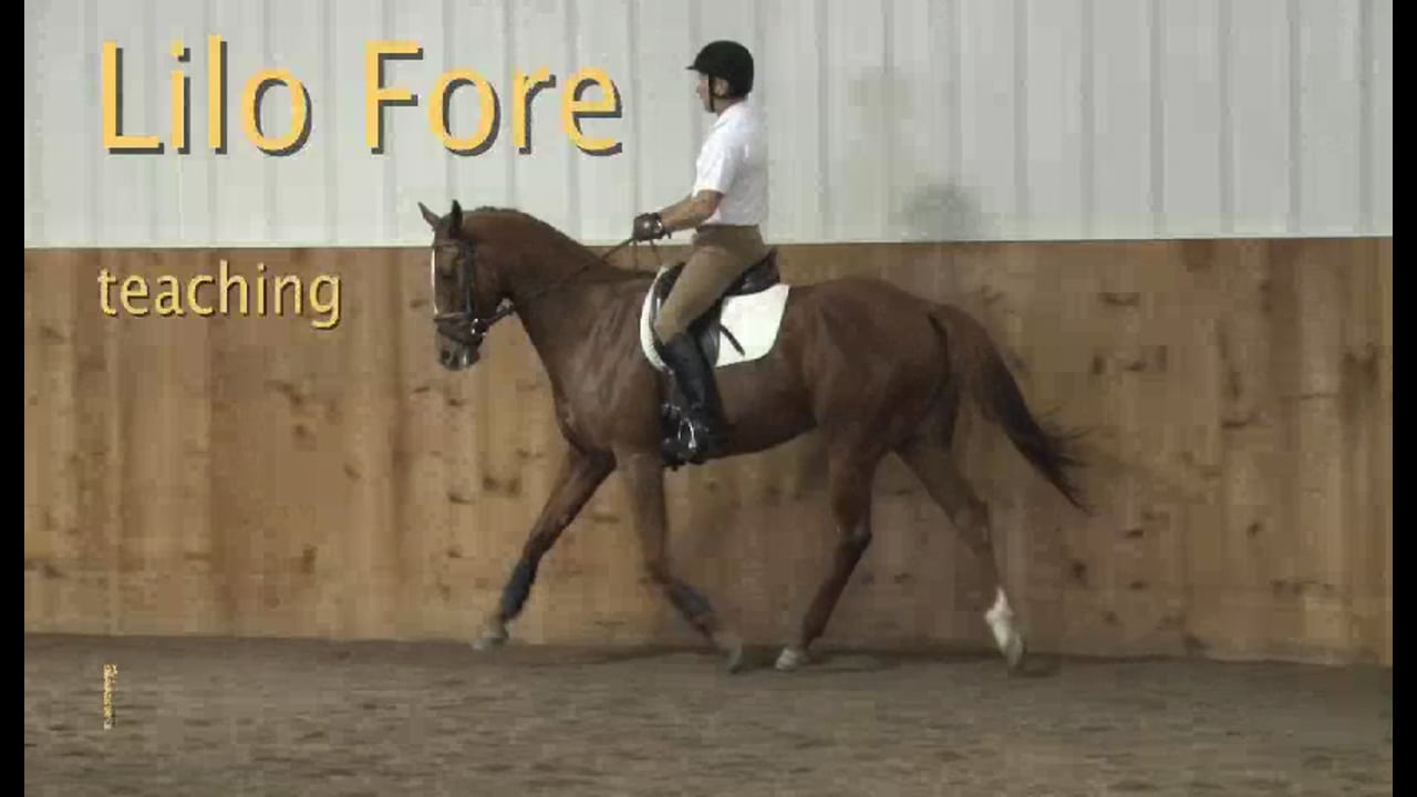 FarmVet/USDF Adult Clinic: Balance - Young Event Horse | Lilo Fore | PART 08
