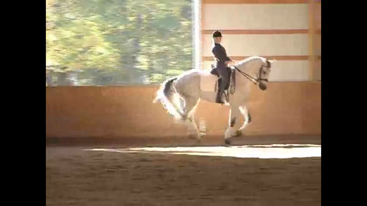 ESDCTA Forum, 2007 PSG/S Intermediare I | Janet Foy & Steffen Peters | PART 03