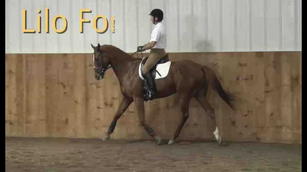 FarmVet/USDF Adult Clinic: Balance - Young Event Horse | Lilo Fore | PART 04