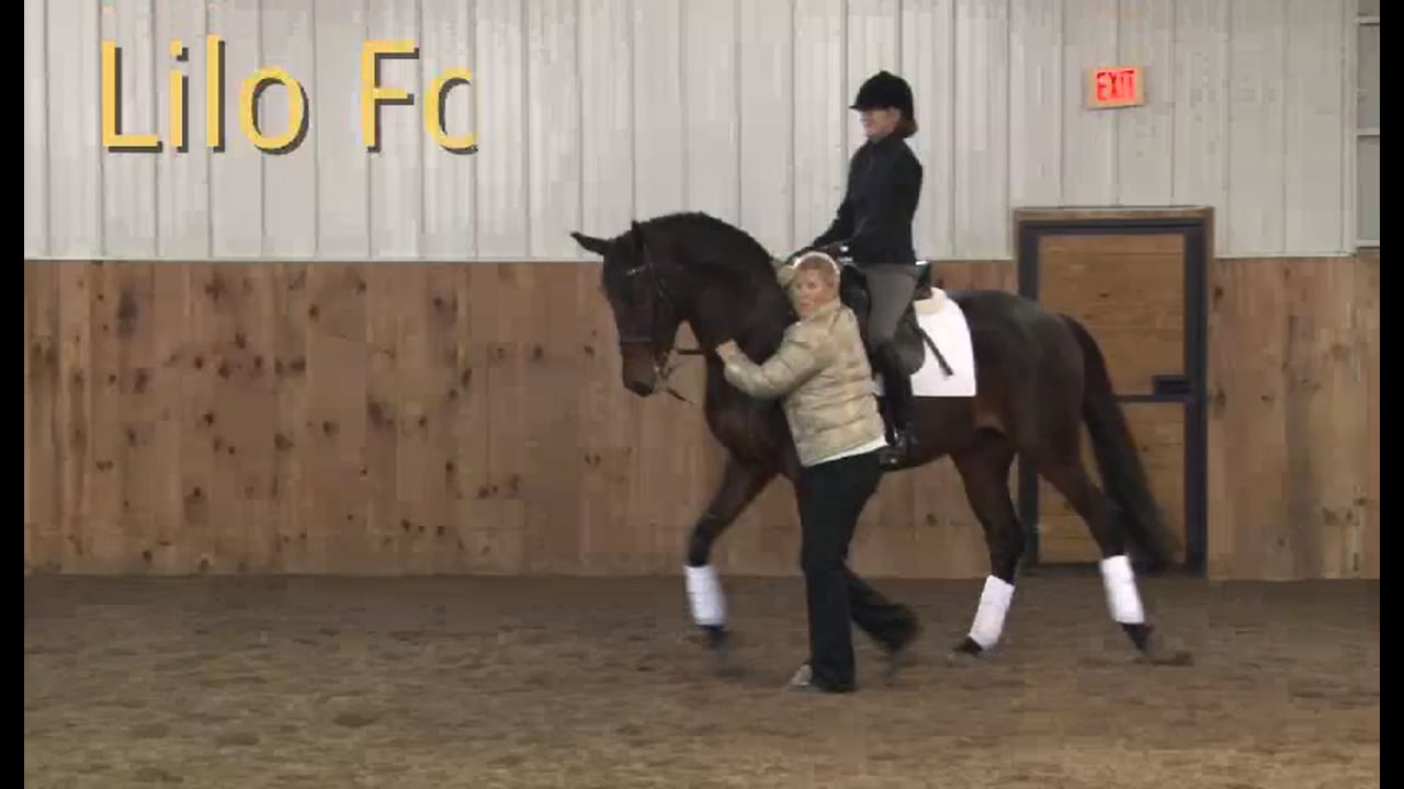 FarmVet/USDF Adult: Contact with Experienced Horse, Day 2 | Lilo Fore | PART 02