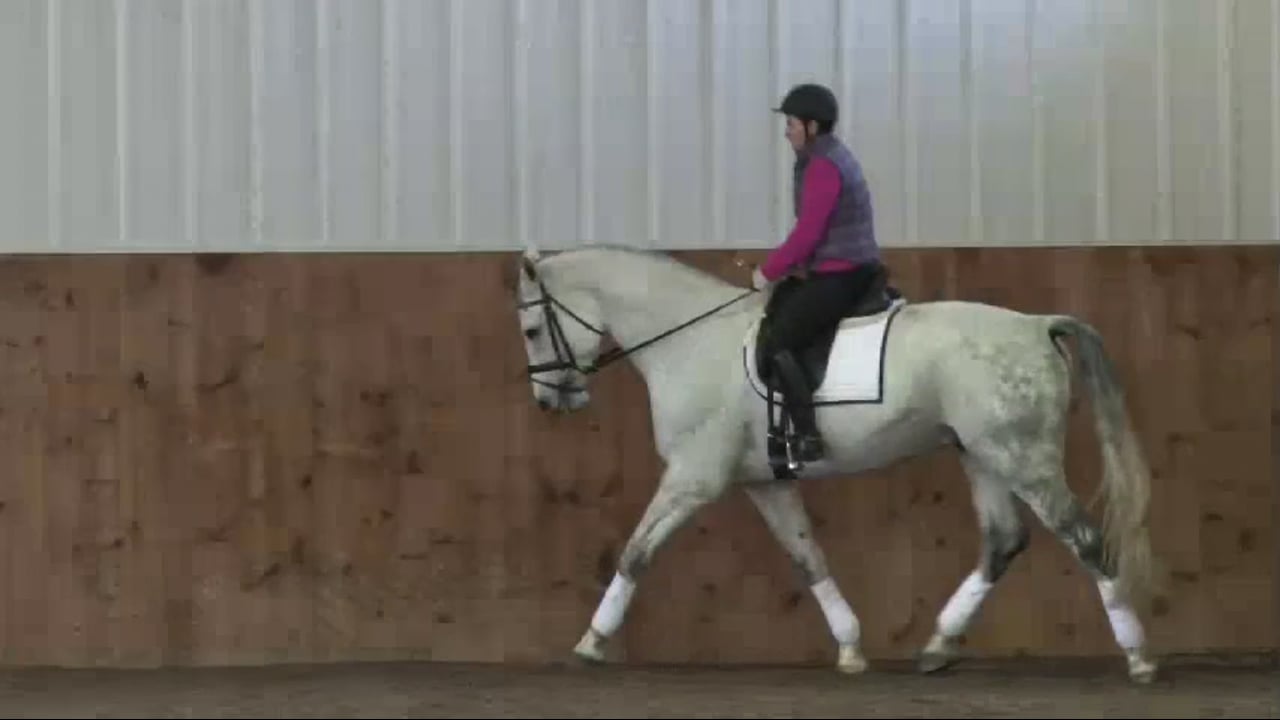 FarmVet/USDF Complete Adult Clinic, featuring Lilo Fore, Creating Better Contact