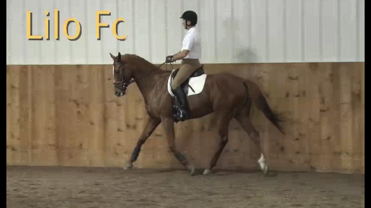 FarmVet/USDF Adult Clinic: Balance - Young Event Horse | Lilo Fore | PART 05