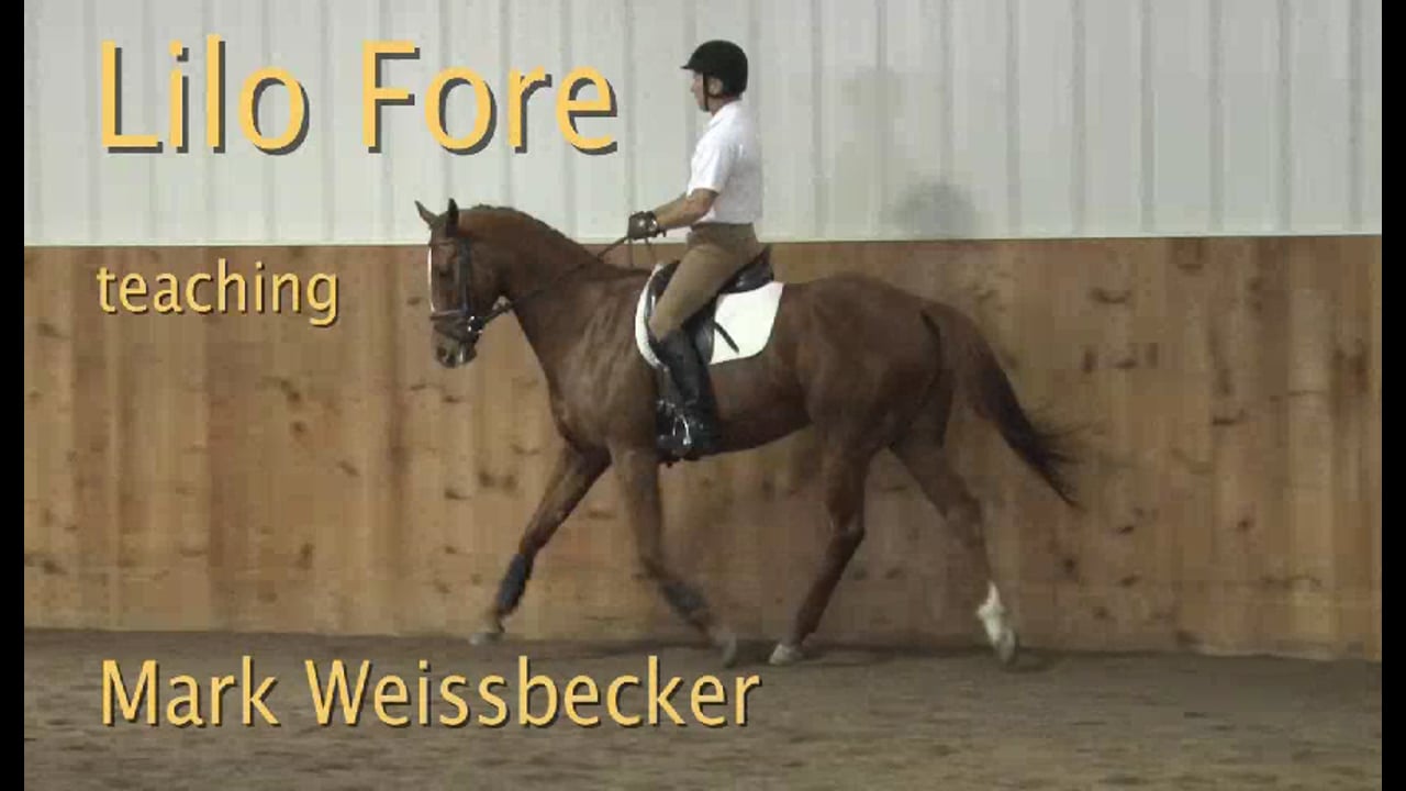FarmVet/USDF Adult Clinic: Balance - Young Event Horse | Lilo Fore | PART 03