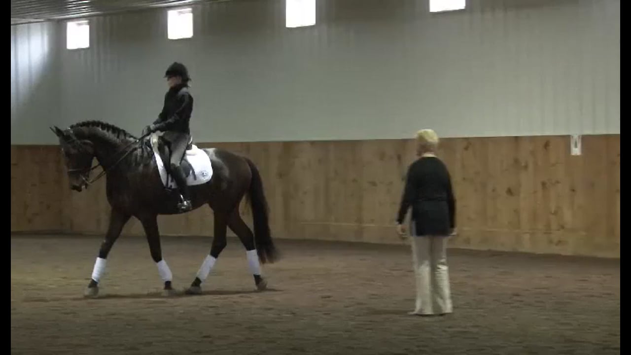 FarmVet/USDF Complete Adult Clinic, featuring Lilo Fore, Training Level, Day 2,