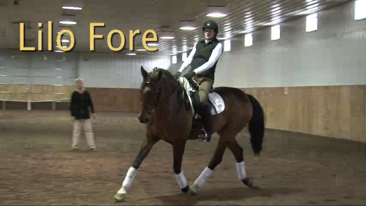 FarmVet/USDF Adult Clinic: Responsiveness to the Leg | Lilo Fore | PART 02