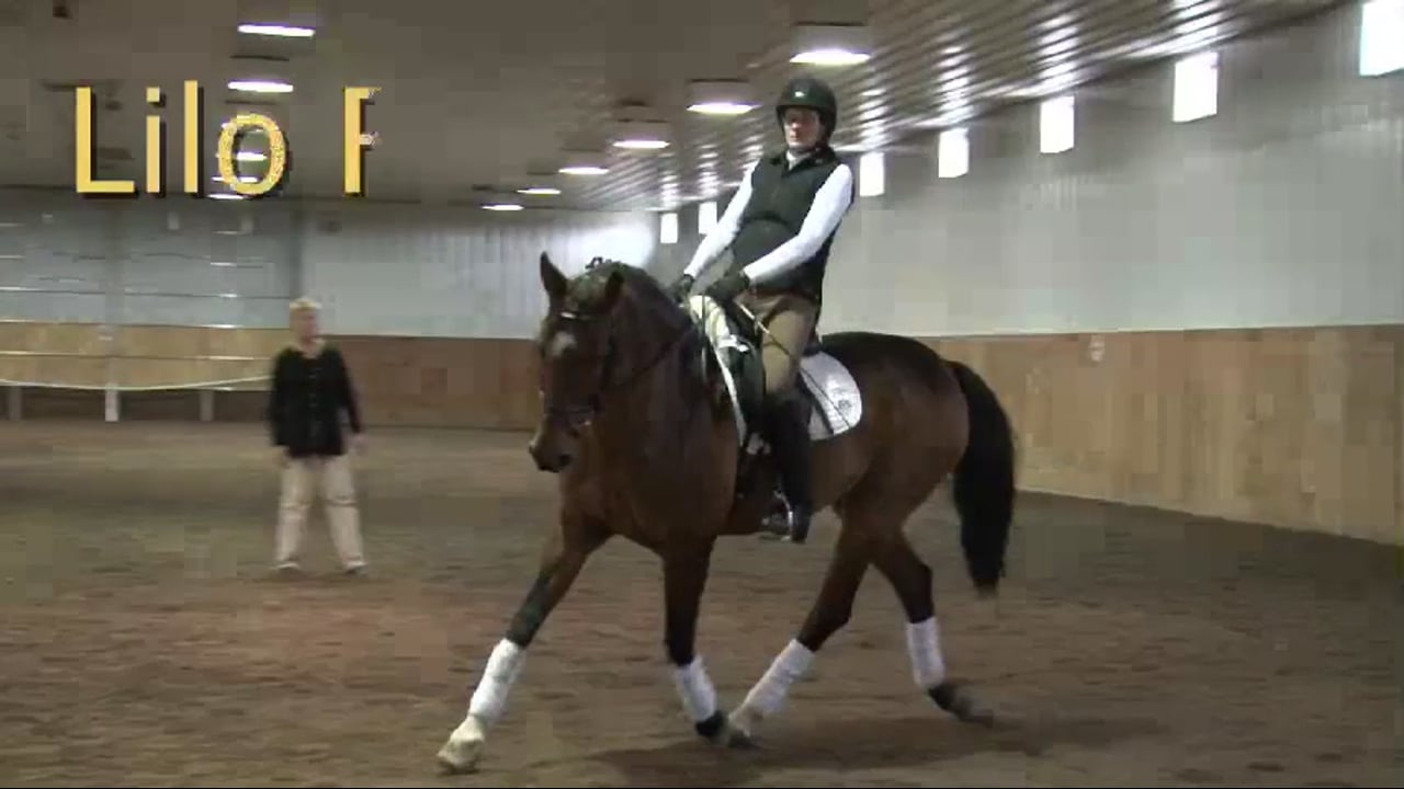 FarmVet/USDF Adult Clinic: Responsiveness to the Leg | Lilo Fore | PART 04