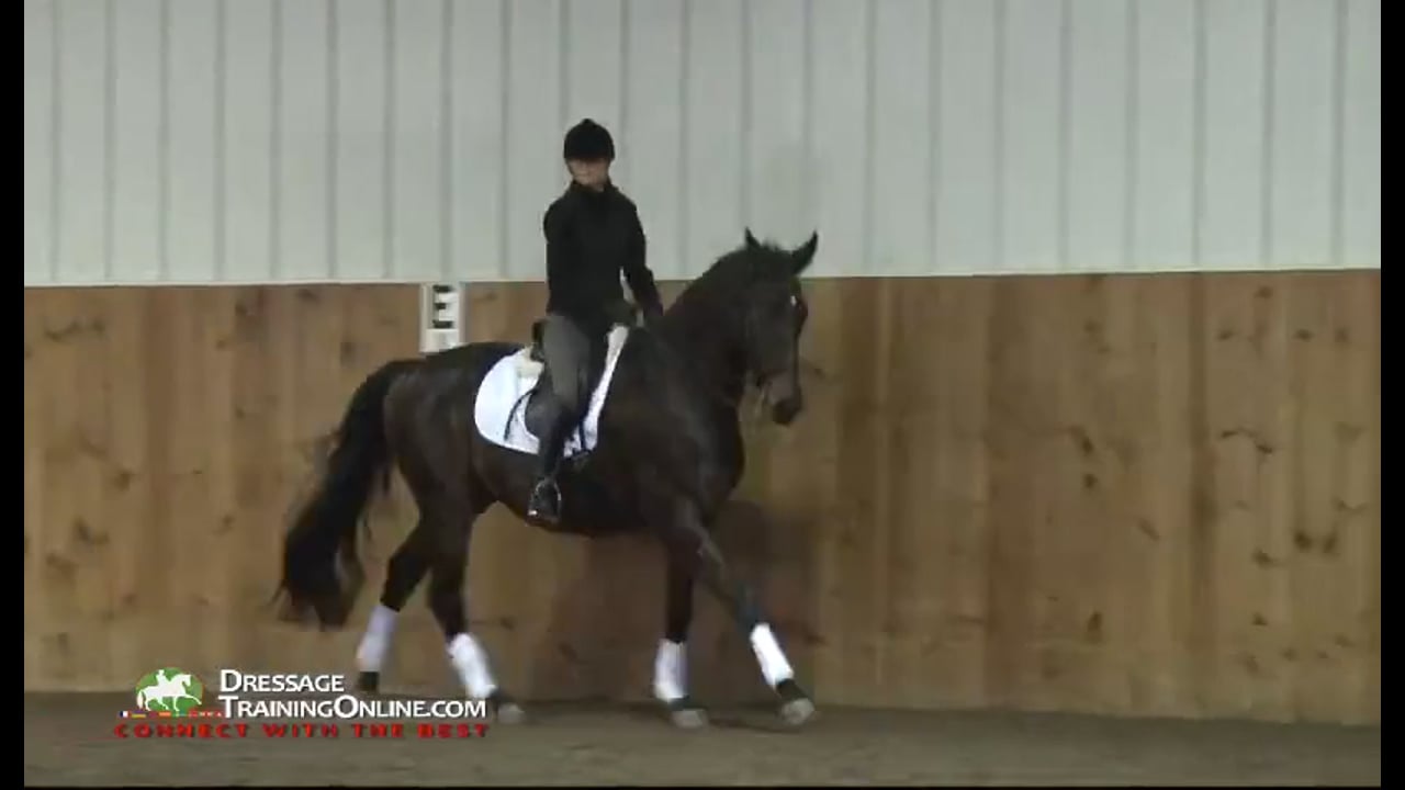 FarmVet/USDF, Adult Clinic: The Experienced Horse | Lilo Fore | PART 02