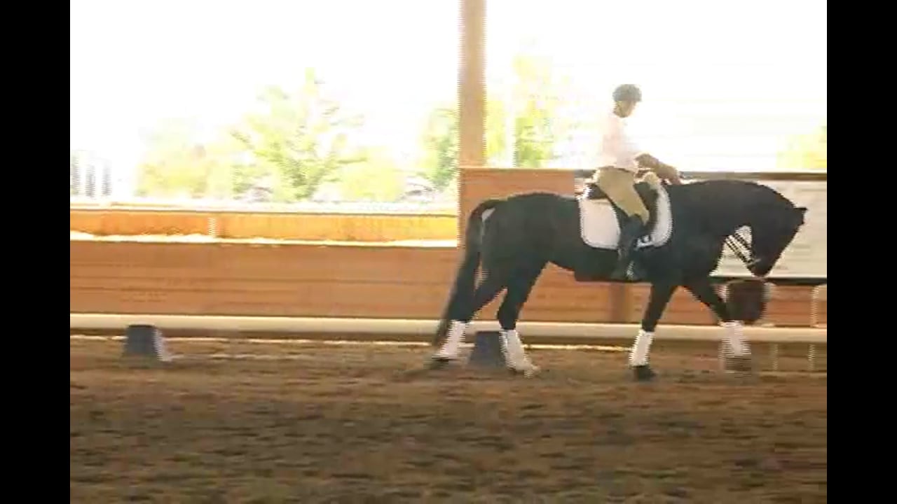 FEI Work, Collection, Improving the Cadence | Jan Brink | PART 03