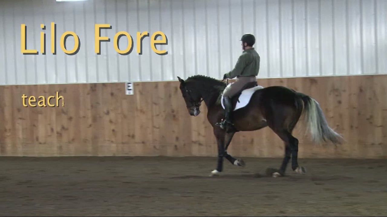 FarmVet/USDF Adult Clinic: Solid Basics - Young Horse | Lilo Fore | PART 03
