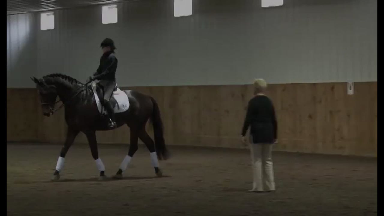 FarmVet/USDF Complete Adult Clinic, Lilo Fore, The Experienced Horse, Part 6