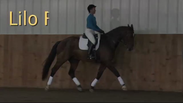 FarmVet/USDF Adult Clinic, Training Level, Activity | Lilo Fore | PART 04