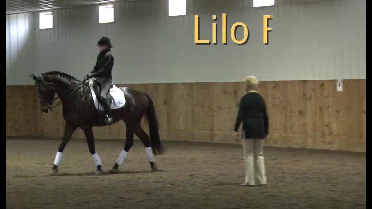 FarmVet/USDF, Adult Clinic: The Experienced Horse | Lilo Fore | PART 03