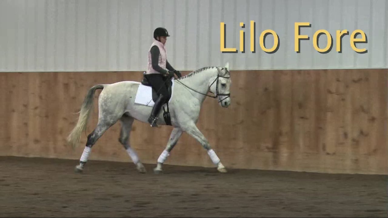 FarmVet/USDF Complete Adult Clinic, featuring Lilo Fore, Training Level, Part 6
