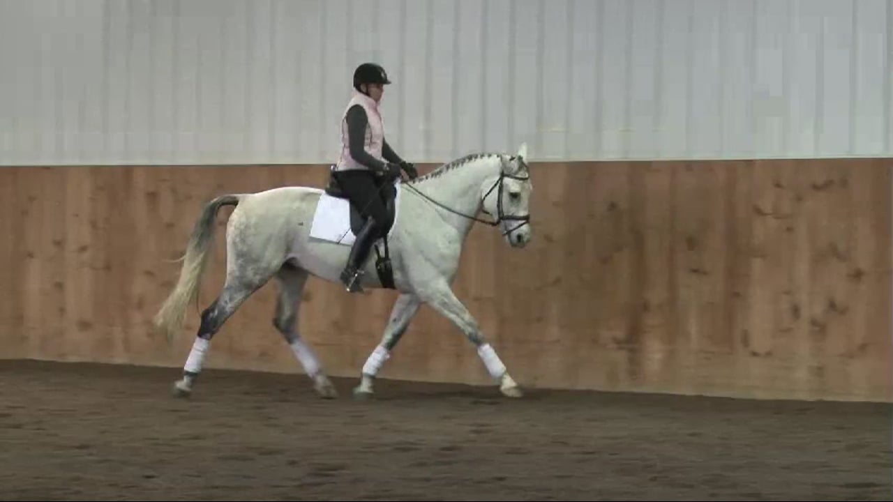 FarmVet/USDF Complete Adult Clinic, featuring Lilo Fore, Training Level, Part 5