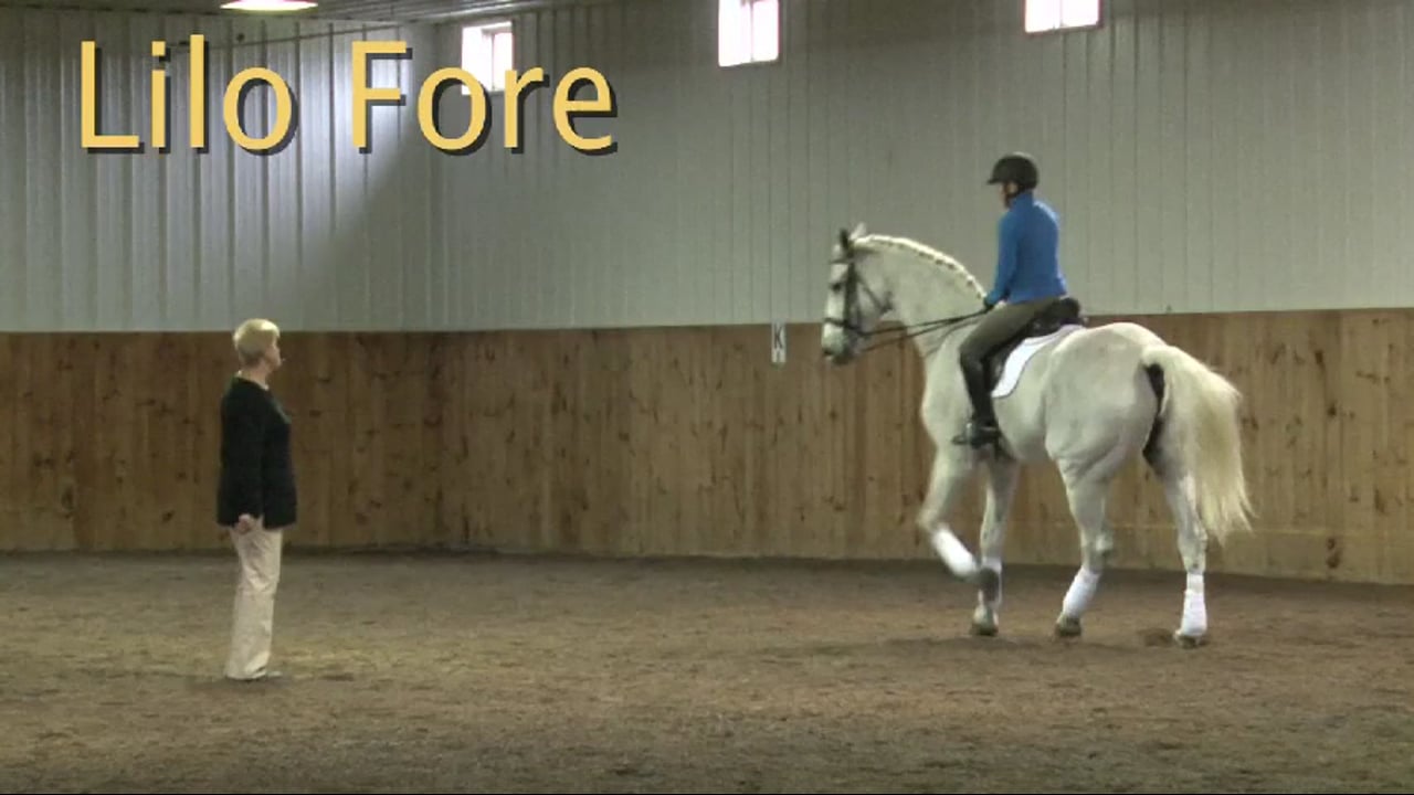 FarmVet/USDF Complete Adult Clinic, featuring Lilo Fore, Creating Contact with t