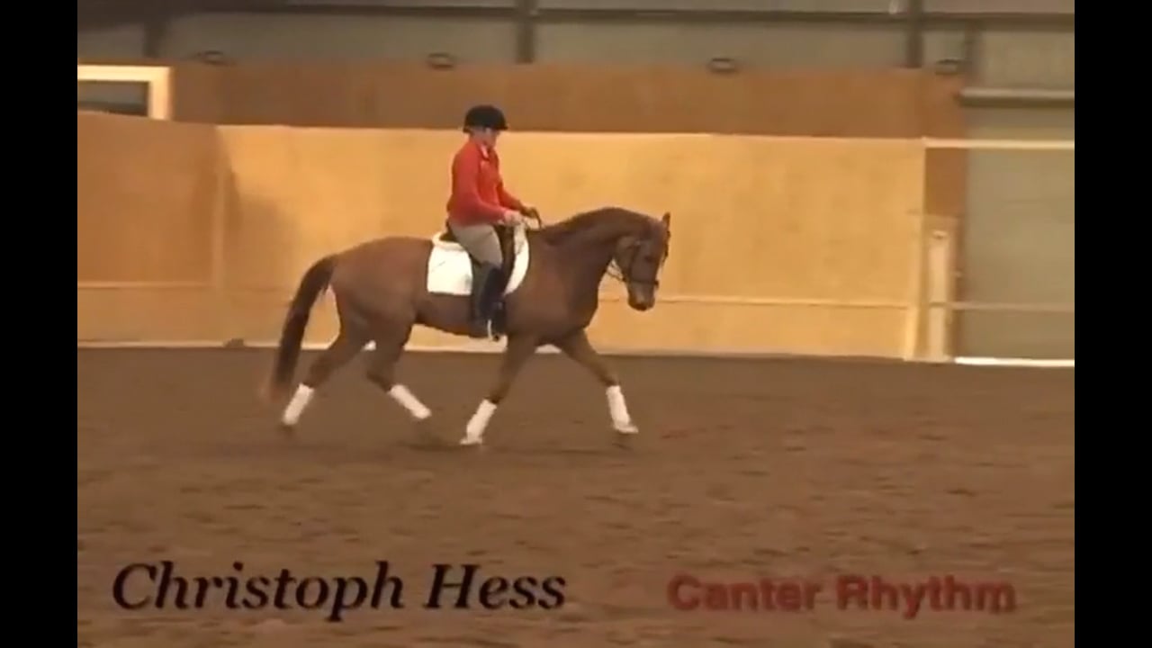 Canter Rhythm | Christoph Hess | INTRO