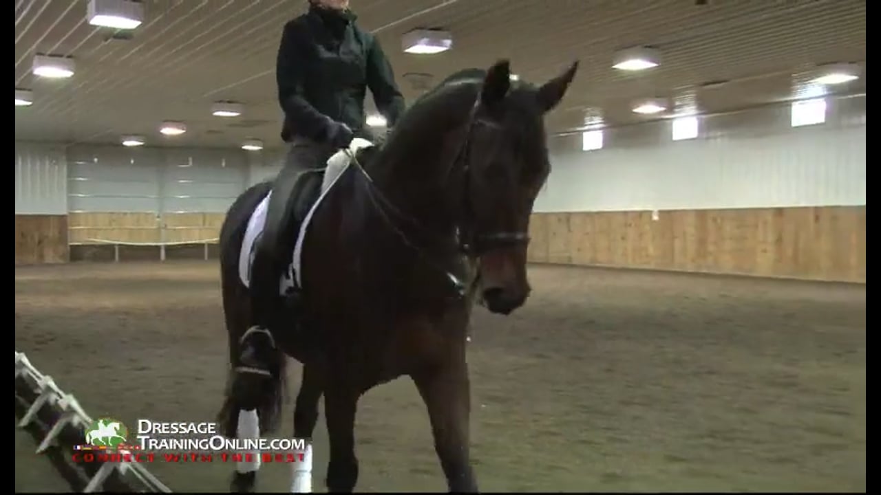 FarmVet/USDF, Adult Clinic: The Experienced Horse | Lilo Fore | PART 04