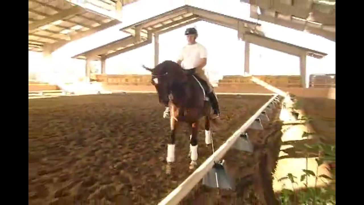 FEI, Adjustability, Tempi Changes | Jan Brink | PART 01