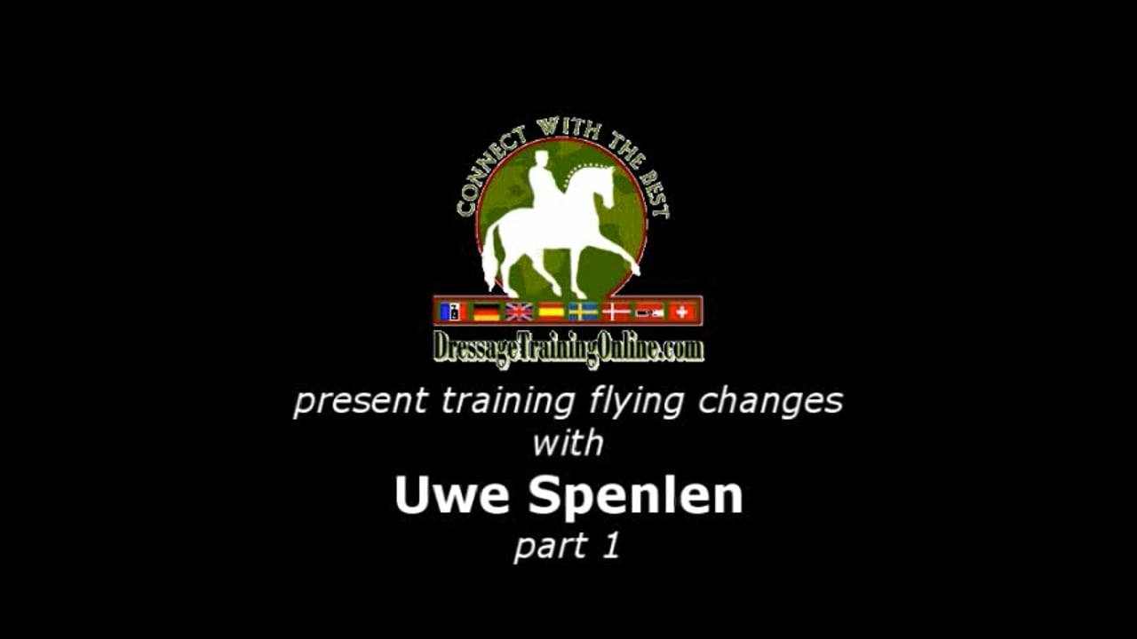 Flying change of lead 