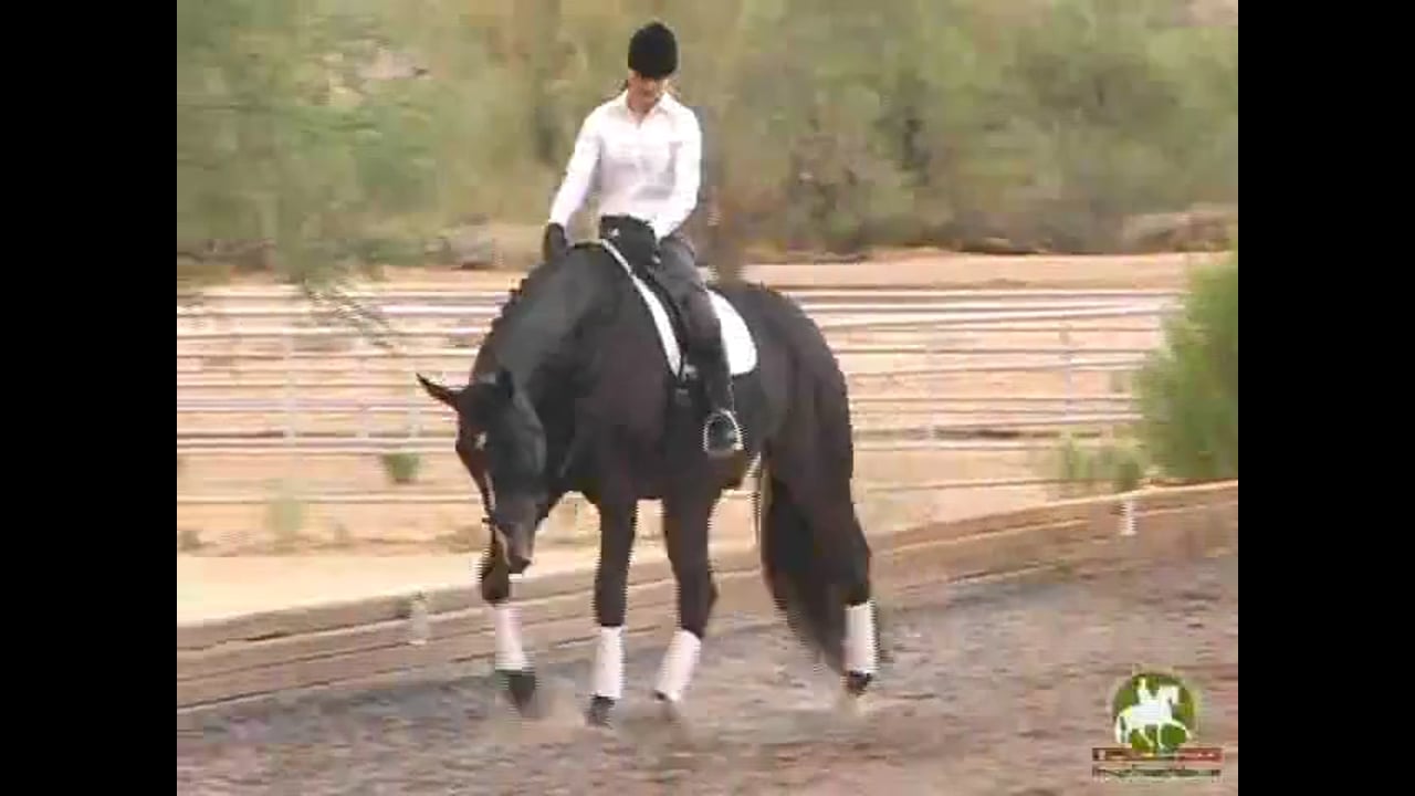 Flying Changes, A Dressage Riders Nightmare | Uwe Spenlen