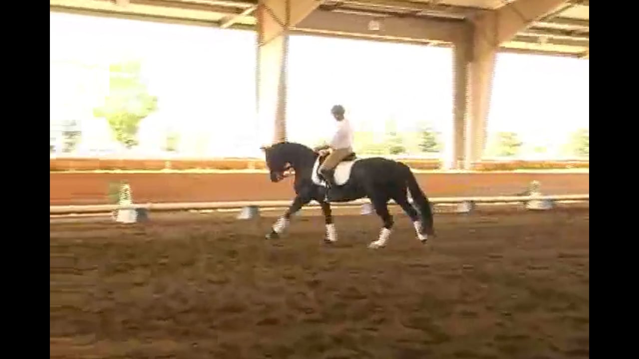 FEI Work, Collection, Improving the Cadence | Jan Brink | PART 02