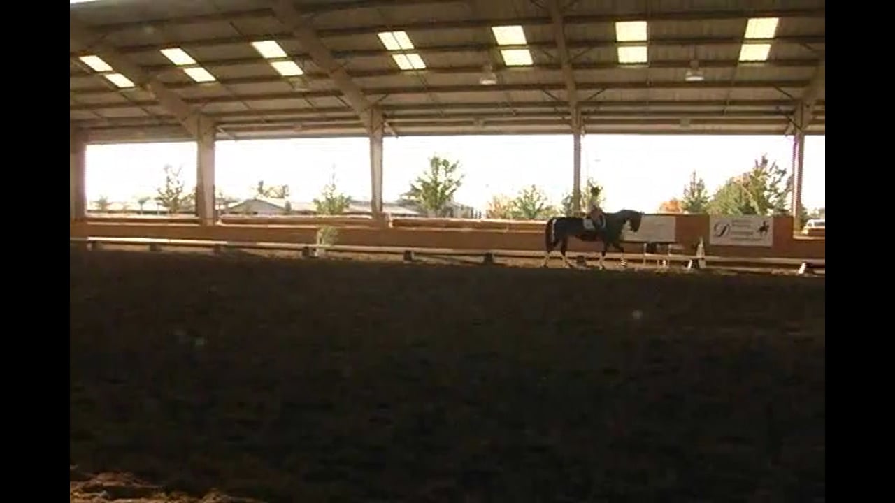 FEI, Adjustability, Tempi Changes | Jan Brink | PART 02