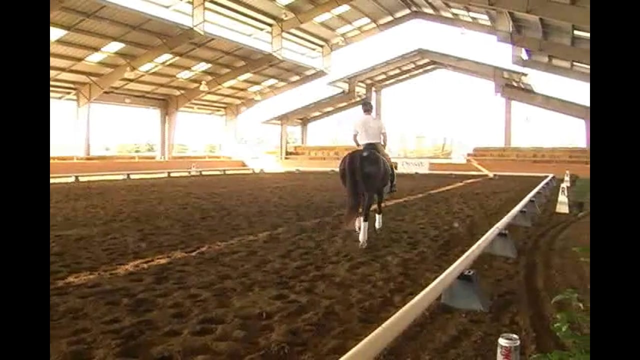 FEI, Adjustability, Tempi Changes | Jan Brink | PART 03