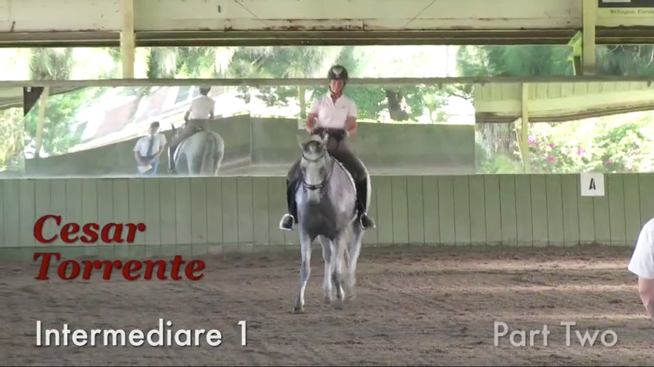 Intermediare 1 | Cesar Torrente | PART 02